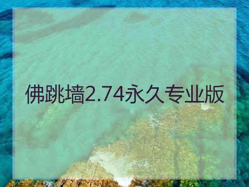 佛跳墙2.74永久专业版