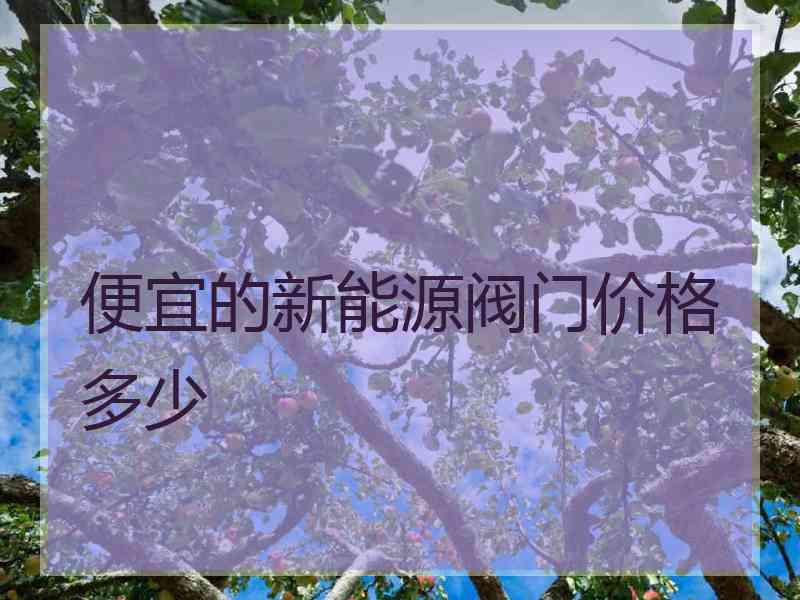 便宜的新能源阀门价格多少