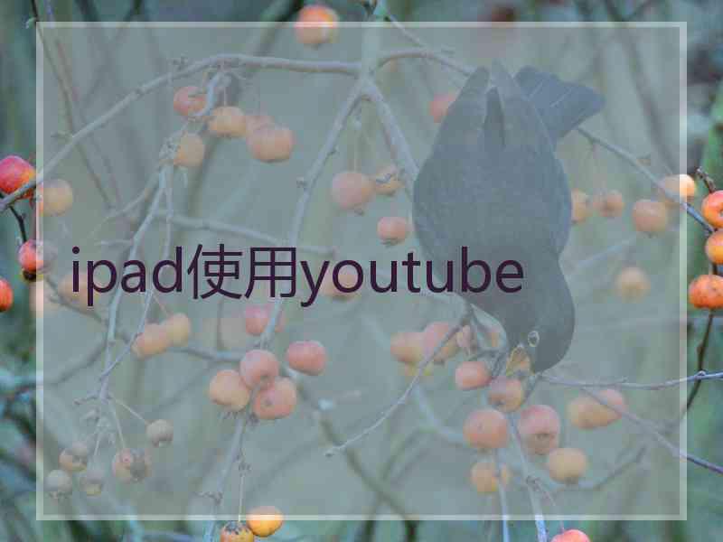 ipad使用youtube