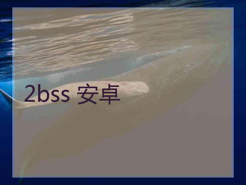 2bss 安卓