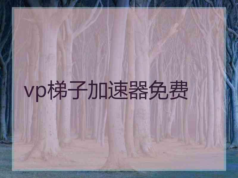 vp梯子加速器免费