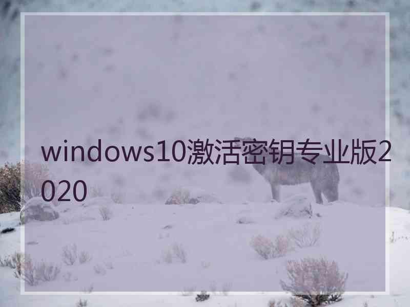 windows10激活密钥专业版2020