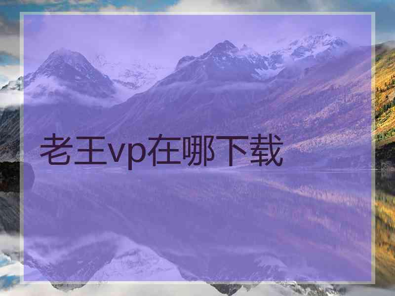 老王vp在哪下载