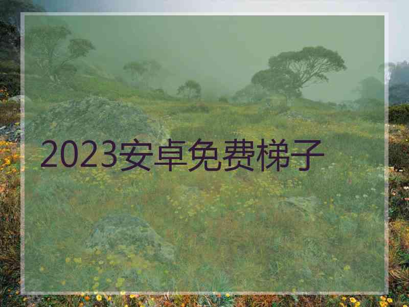 2023安卓免费梯子