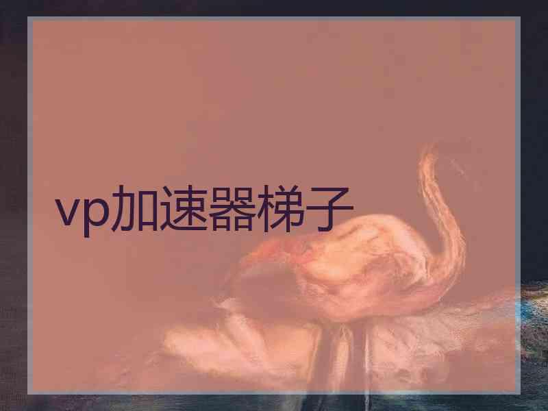 vp加速器梯子