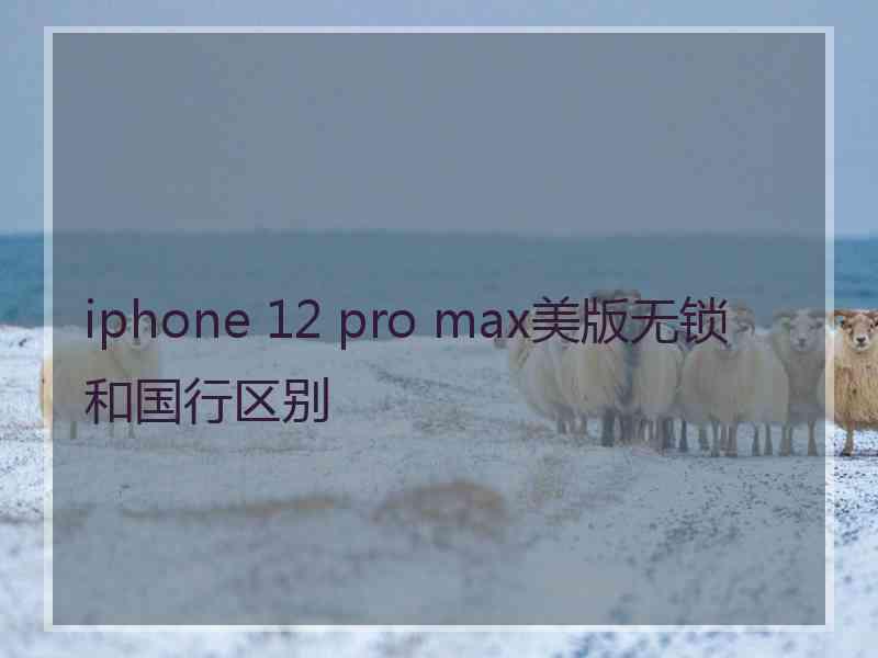 iphone 12 pro max美版无锁和国行区别