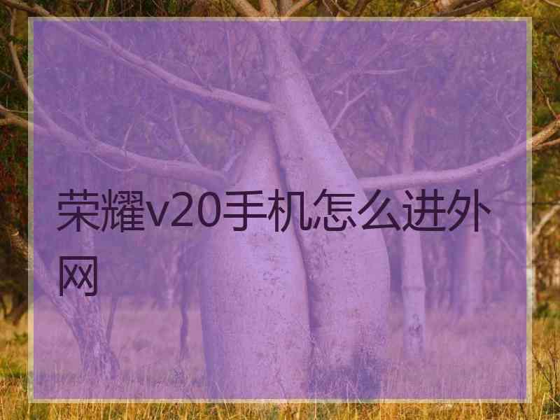 荣耀v20手机怎么进外网