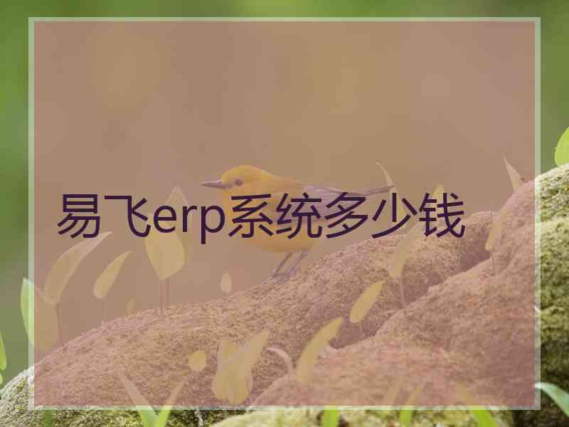 易飞erp系统多少钱