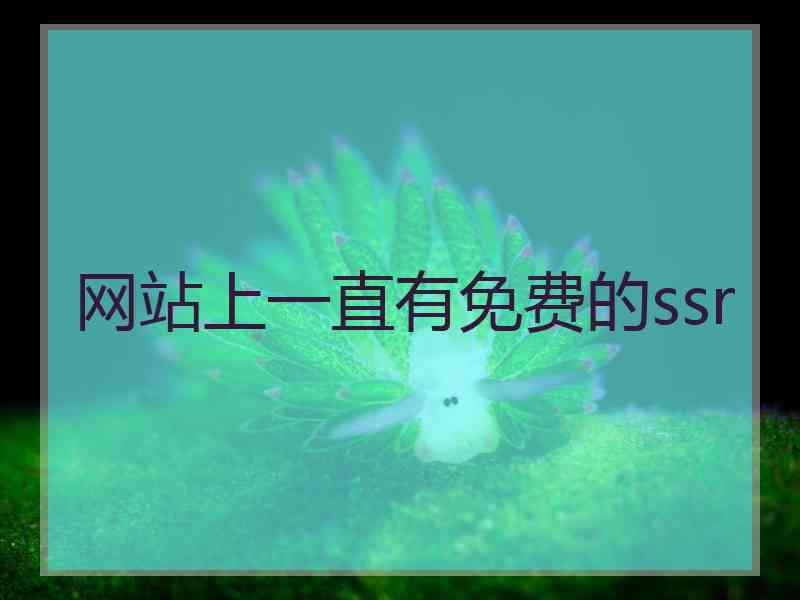 网站上一直有免费的ssr