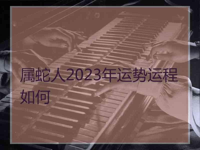 属蛇人2023年运势运程如何