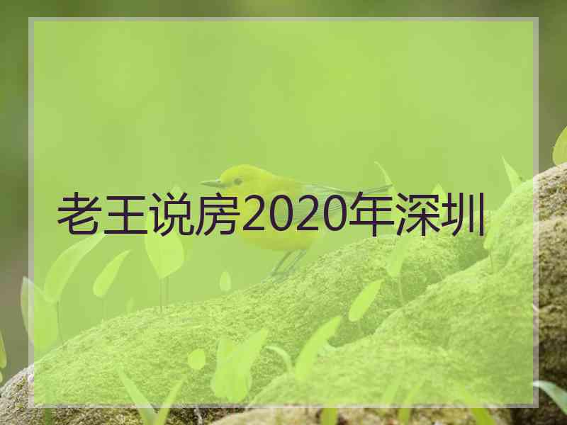 老王说房2020年深圳