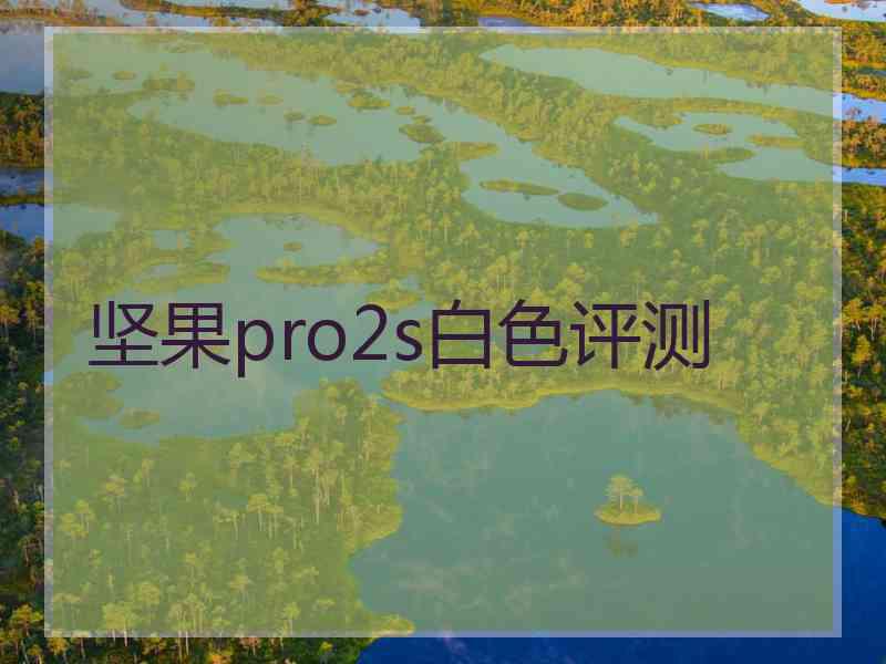 坚果pro2s白色评测