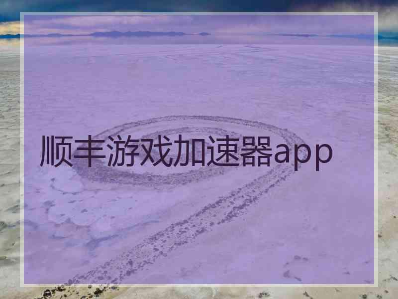 顺丰游戏加速器app