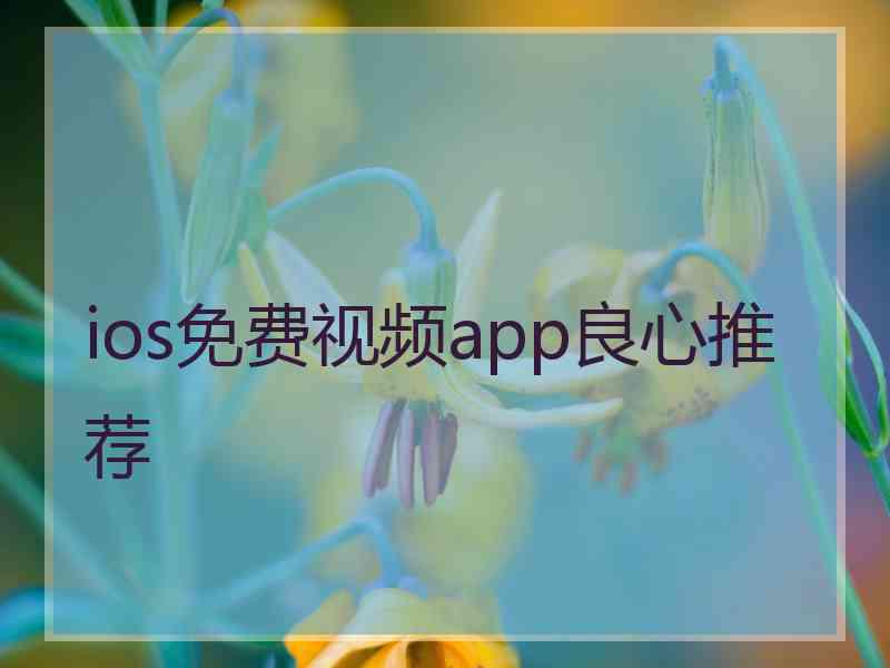 ios免费视频app良心推荐