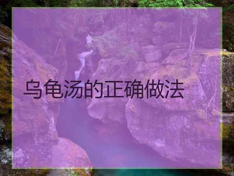 乌龟汤的正确做法