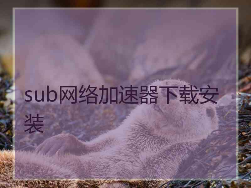 sub网络加速器下载安装