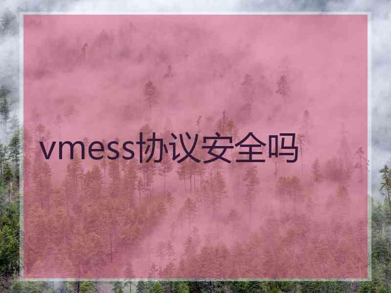 vmess协议安全吗