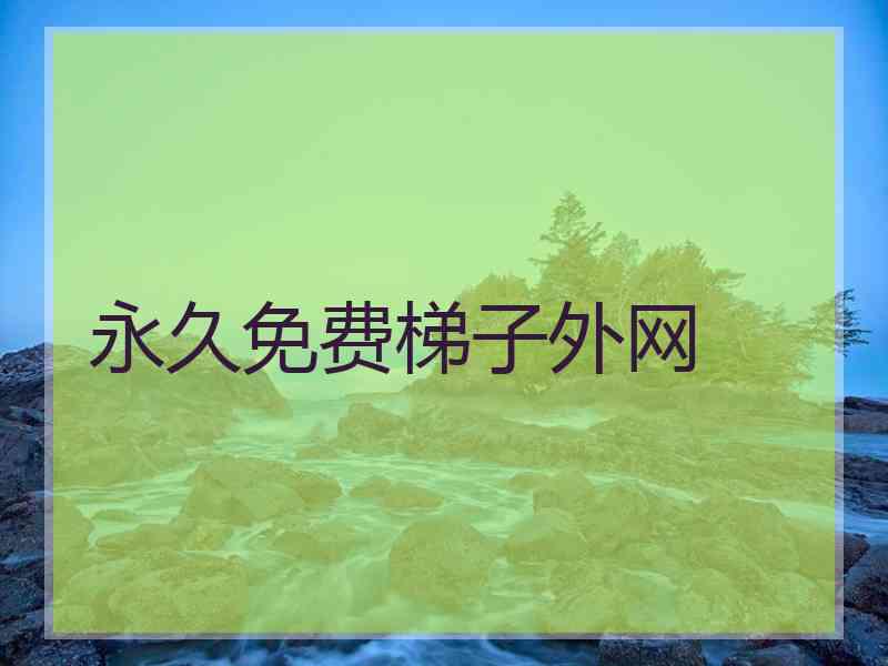 永久免费梯子外网