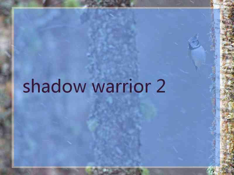 shadow warrior 2