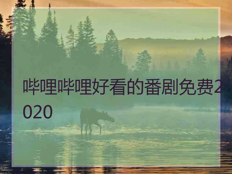 哔哩哔哩好看的番剧免费2020