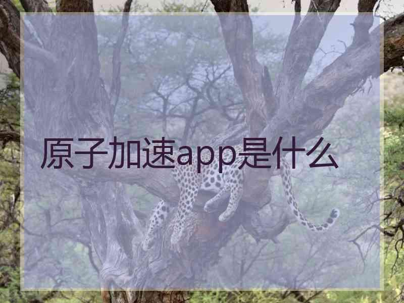 原子加速app是什么