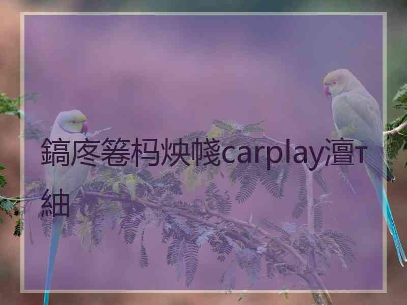 鎬庝箞杩炴帴carplay澶т紬