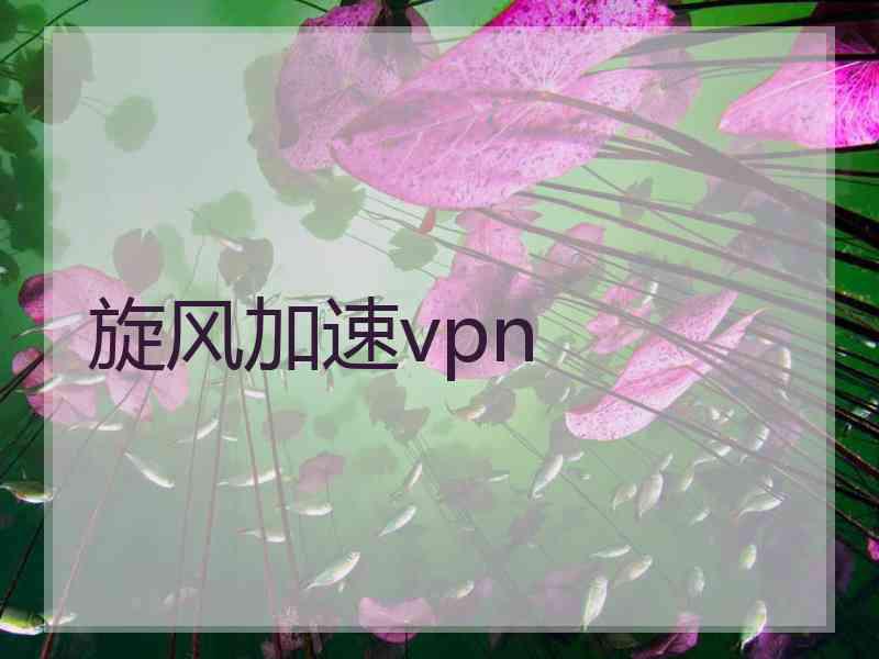 旋风加速vpn