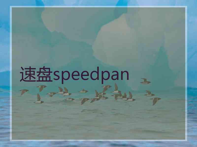 速盘speedpan