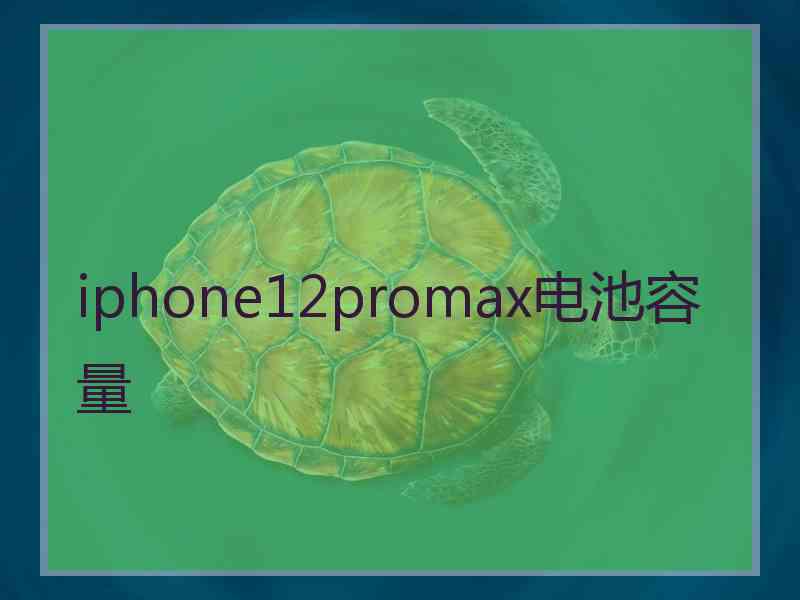 iphone12promax电池容量