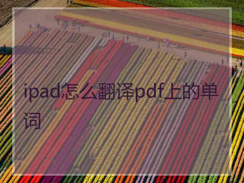 ipad怎么翻译pdf上的单词