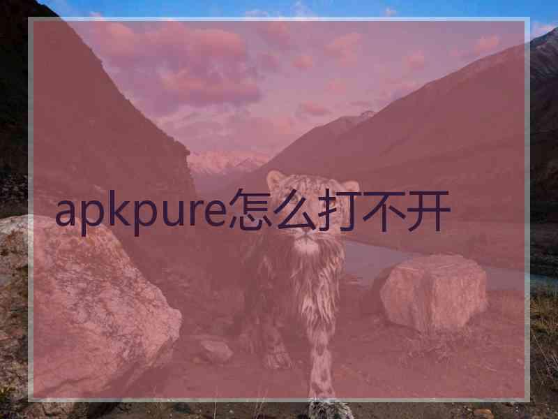 apkpure怎么打不开