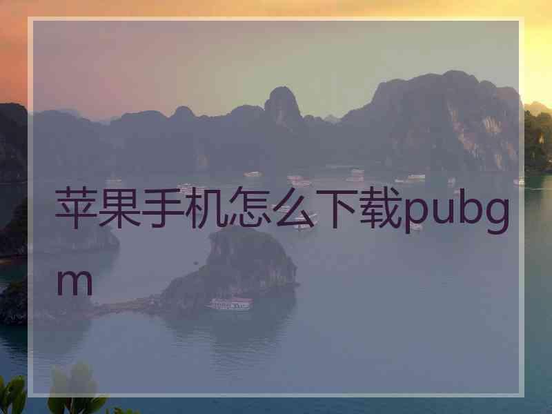 苹果手机怎么下载pubgm