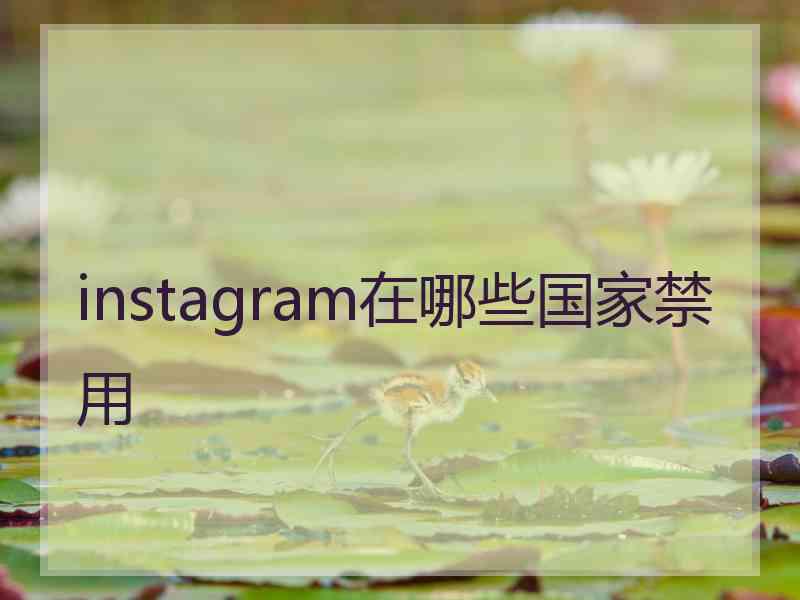 instagram在哪些国家禁用