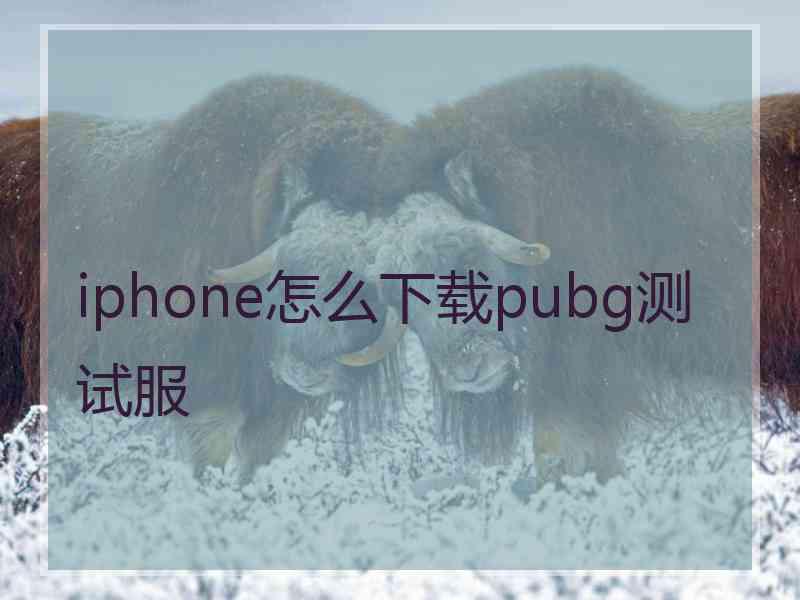 iphone怎么下载pubg测试服