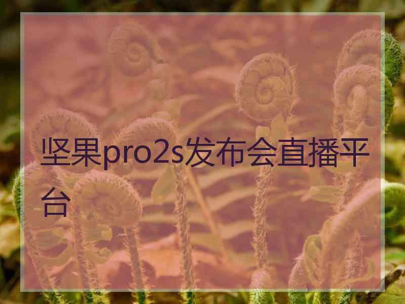 坚果pro2s发布会直播平台