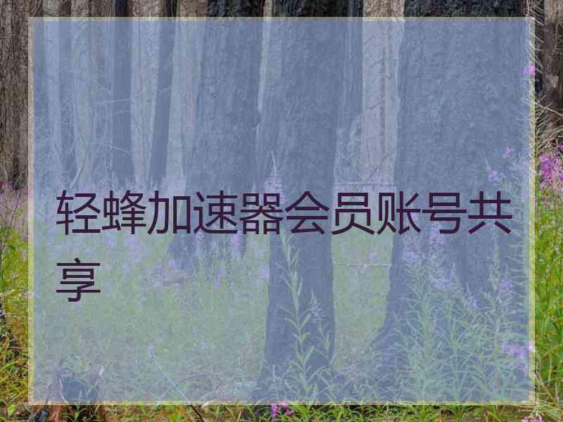 轻蜂加速器会员账号共享