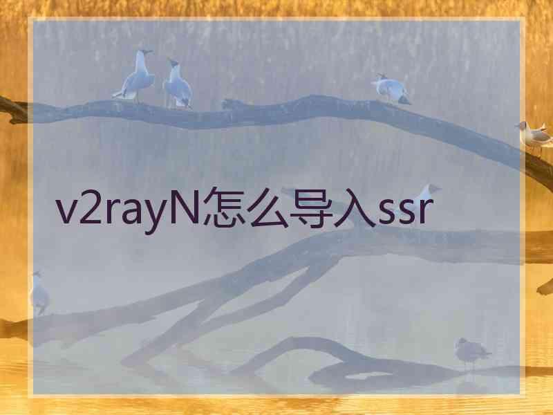 v2rayN怎么导入ssr