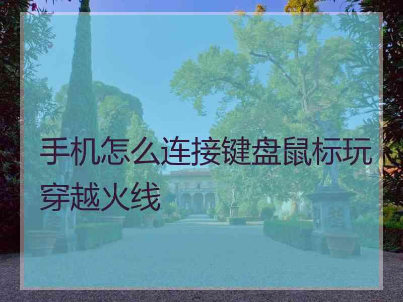 手机怎么连接键盘鼠标玩穿越火线