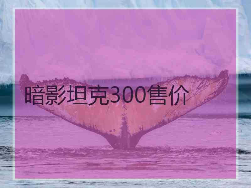 暗影坦克300售价