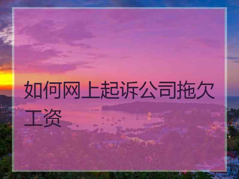 如何网上起诉公司拖欠工资