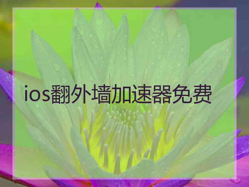 ios翻外墙加速器免费