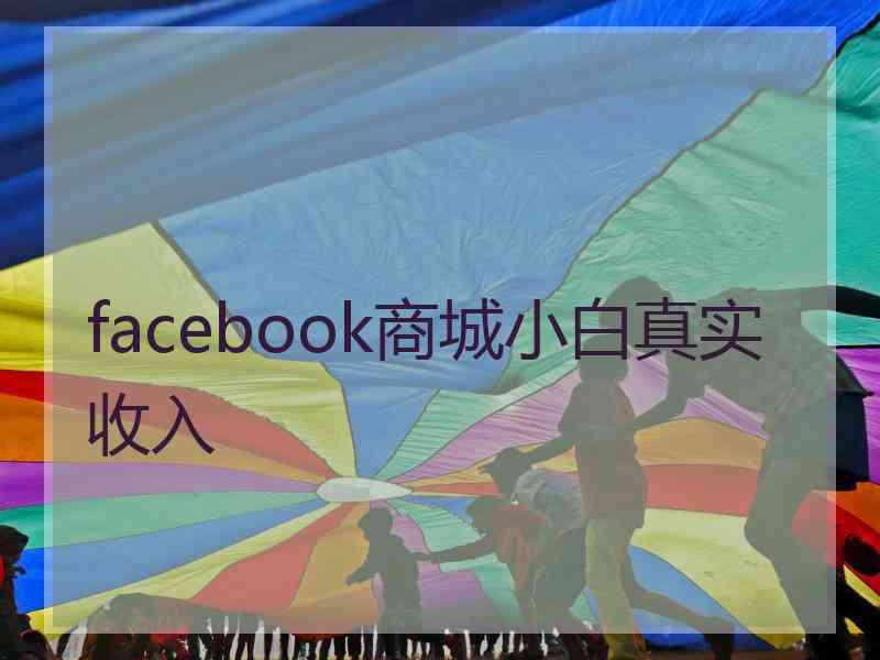 facebook商城小白真实收入