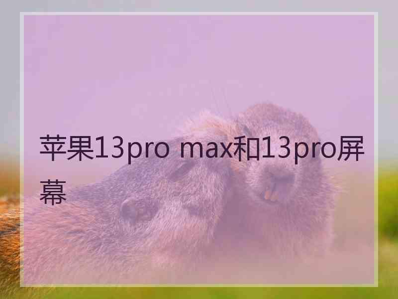 苹果13pro max和13pro屏幕