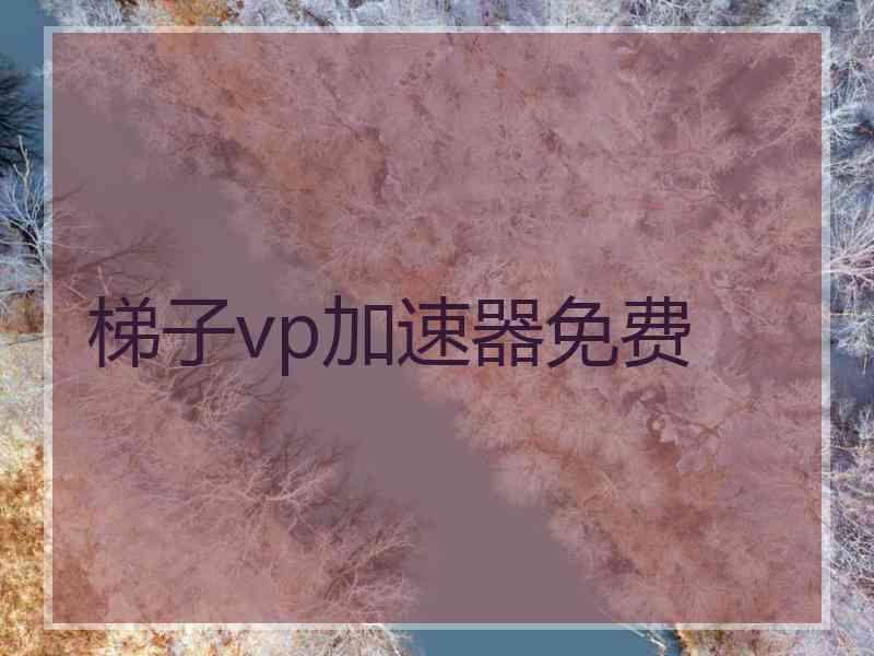 梯子vp加速器免费