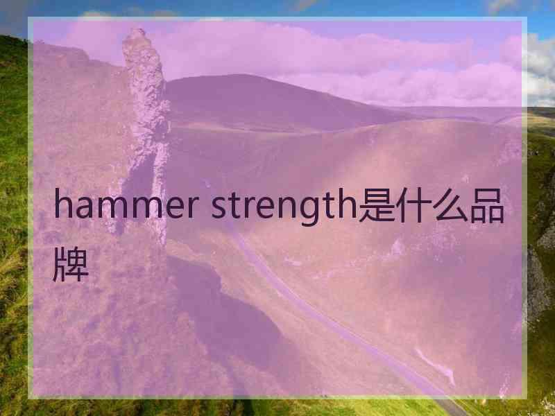 hammer strength是什么品牌