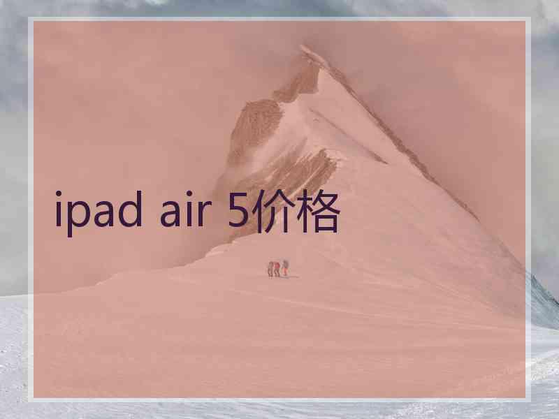 ipad air 5价格