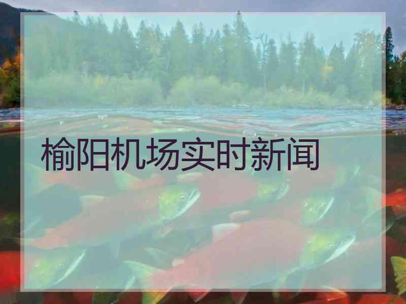 榆阳机场实时新闻