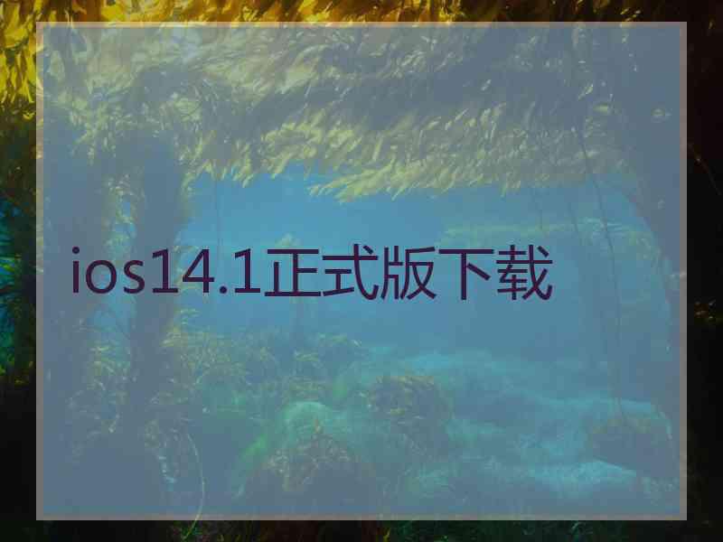 ios14.1正式版下载