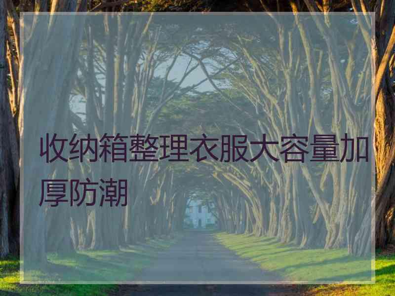 收纳箱整理衣服大容量加厚防潮