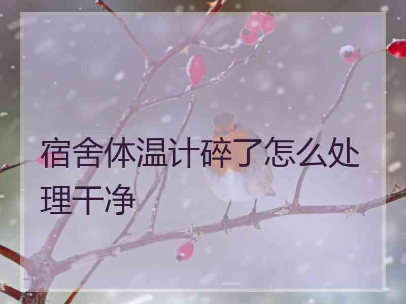 宿舍体温计碎了怎么处理干净